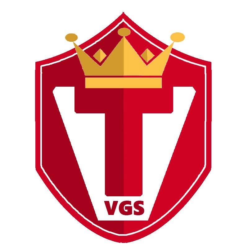 Votelina Group of Schools crest